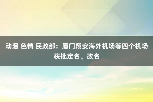 动漫 色情 民政部：厦门翔安海外机场等四个机场获批定名、改名