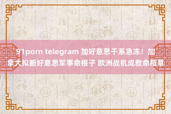 91porn telegram 加好意思干系急冻！加拿大拟断好意思军事命根子 欧洲战机成救命稻草