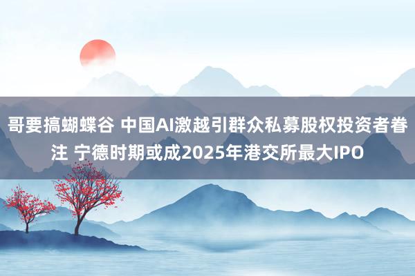 哥要搞蝴蝶谷 中国AI激越引群众私募股权投资者眷注 宁德时期或成2025年港交所最大IPO