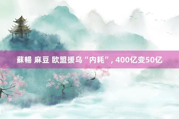 蘇暢 麻豆 欧盟援乌“内耗”， 400亿变50亿