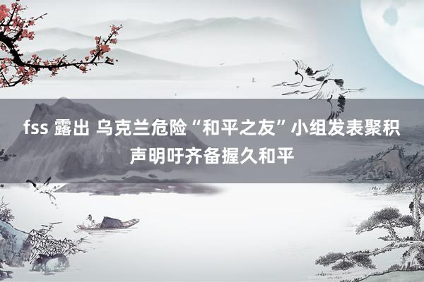fss 露出 乌克兰危险“和平之友”小组发表聚积声明吁齐备握久和平