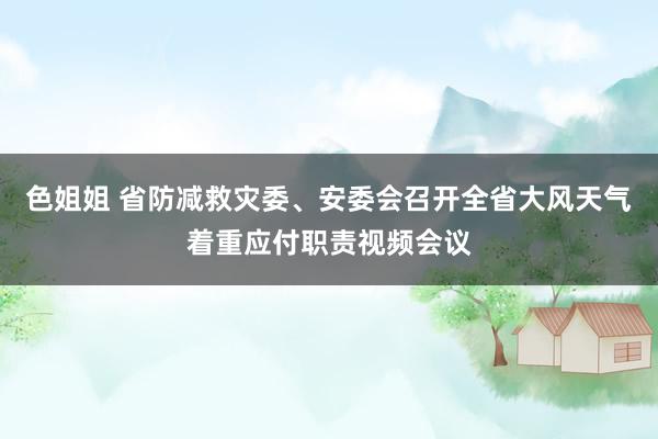 色姐姐 省防减救灾委、安委会召开全省大风天气着重应付职责视频会议