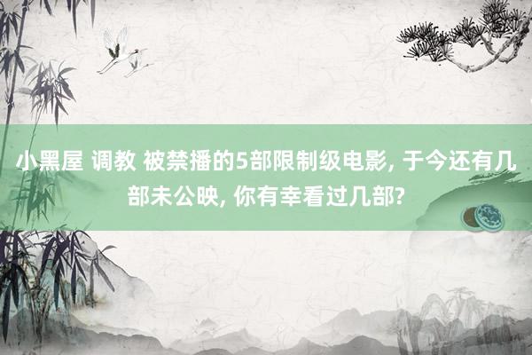小黑屋 调教 被禁播的5部限制级电影， 于今还有几部未公映， 你有幸看过几部?