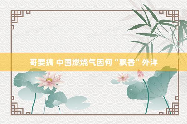 哥要搞 中国燃烧气因何“飘香”外洋