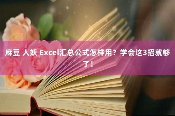 麻豆 人妖 Excel汇总公式怎样用？学会这3招就够了！