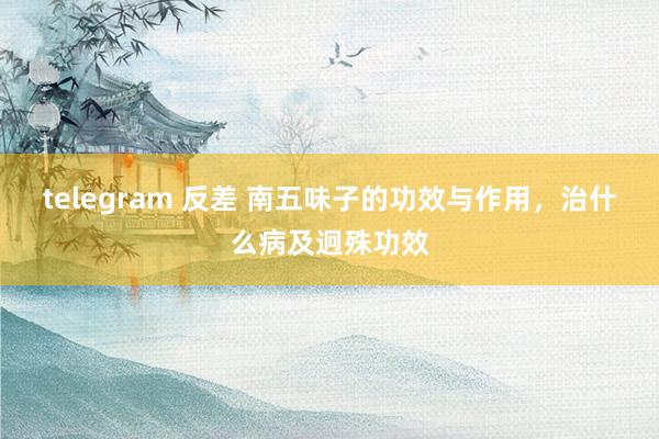 telegram 反差 南五味子的功效与作用，治什么病及迥殊功效