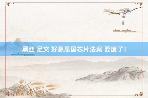 黑丝 足交 好意思国芯片法案 要废了！